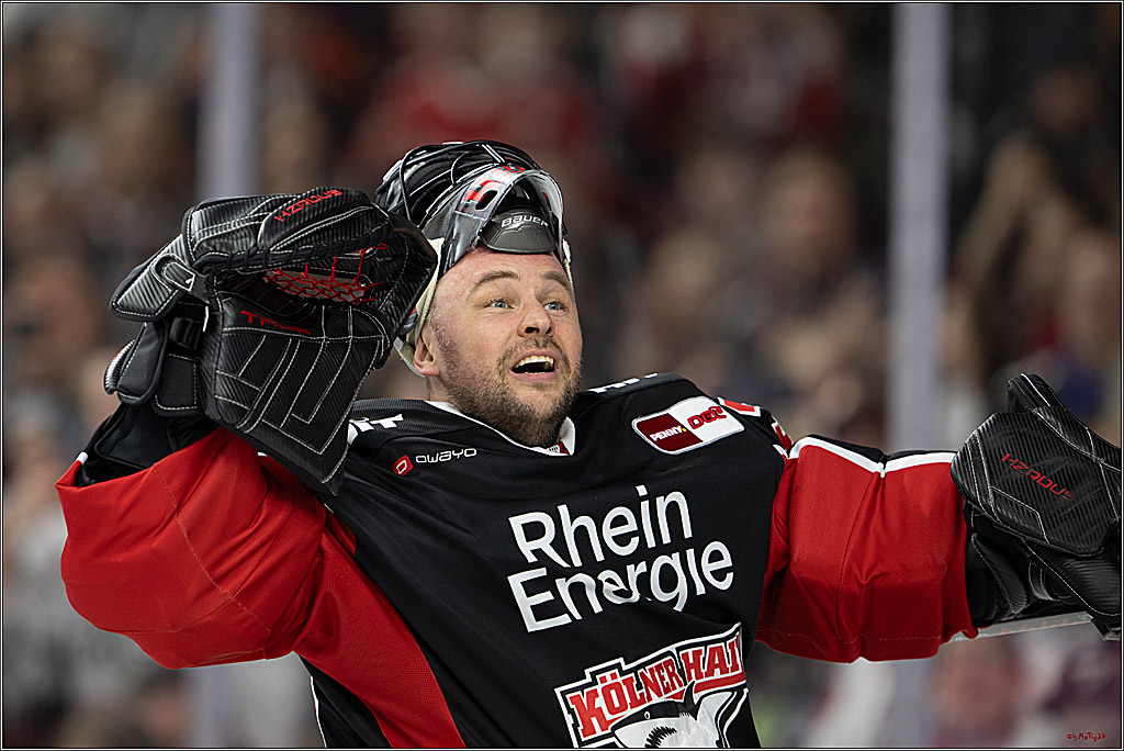 PENNY DEL 1; Kölner Haie - Düsseldorfer EG ; Köln, 16.02.2025